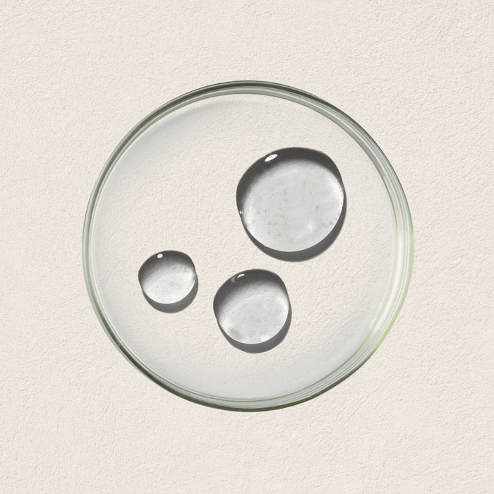 Sea Cucumber Collagen Regeneration Serum