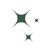 Intelligent Styling Technology